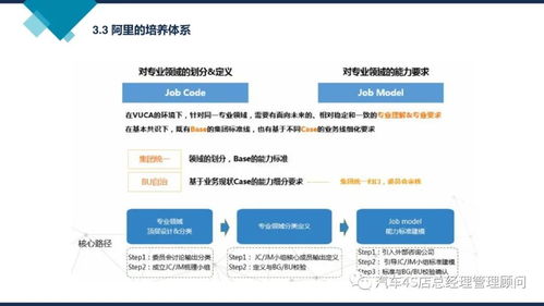 阿里巴巴組織能力建設(shè)與非融資擔(dān)保服務(wù)的融合